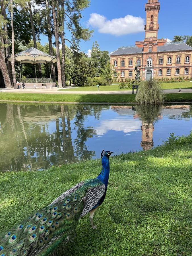 Charmant T2 Avec Grande Terrasse Quartier Jardin Massey タルブ エクステリア 写真